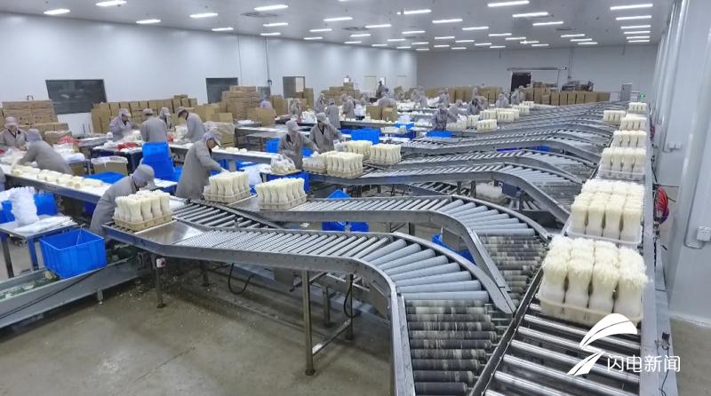 科技扶貧新起點，鄉村振興新篇章——2019年山東農業科技服務(扶貧)月啟動儀式在鄒城盛大舉行